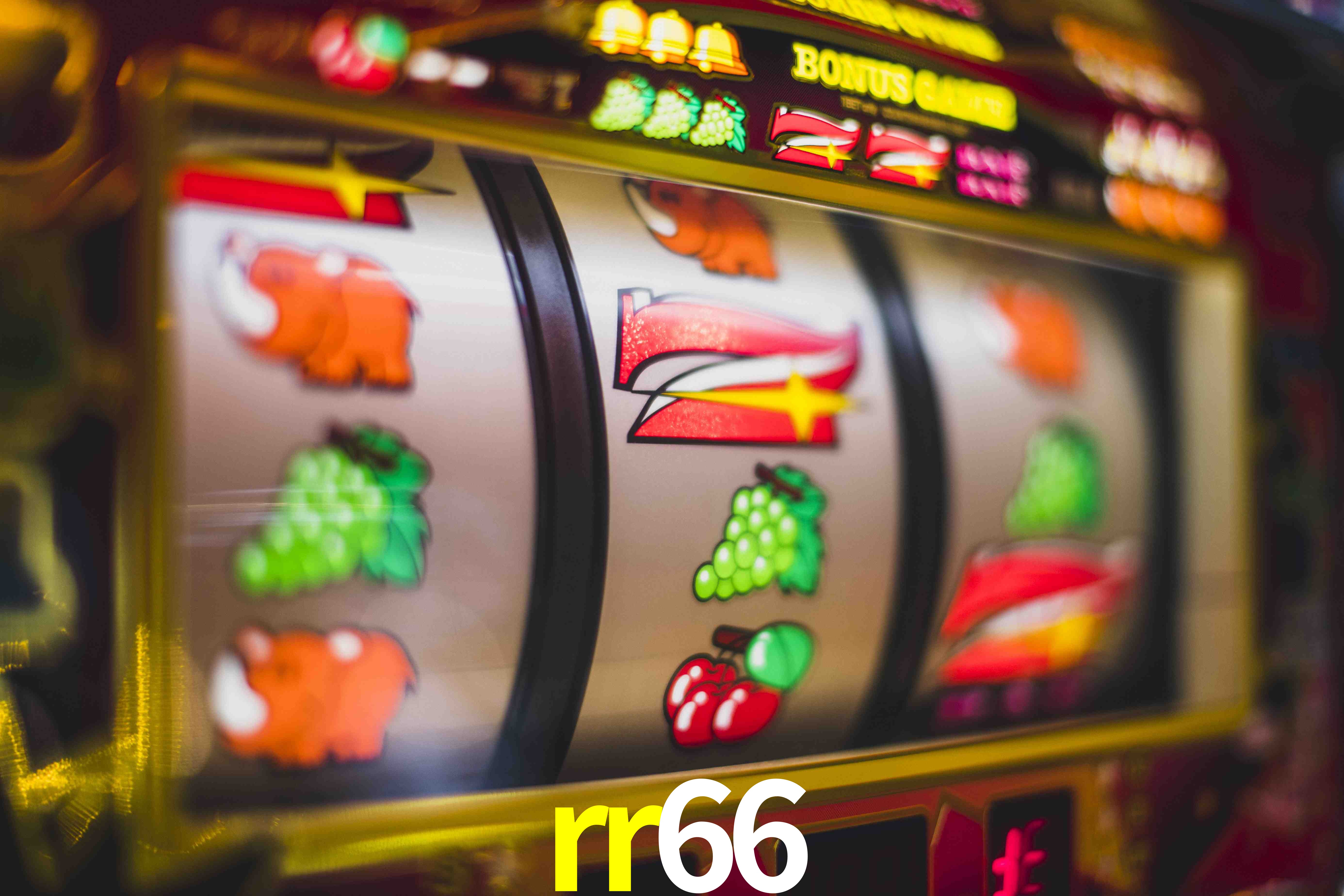 Sports Statistics rr66